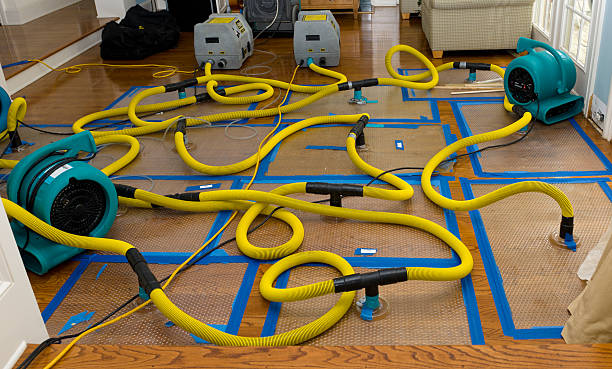 Professional Burst Pipe Water Damage technician working in Hopewell, NJ