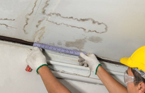 Affordable Water Damage Repair solutions in Hopewell, NJ